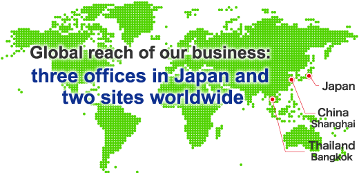 Figure 3: Global business development with overseas hubs
