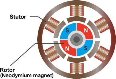 Figure 8: Cross-sectional view of the brushless motor